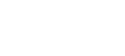 Pulsar Fusion